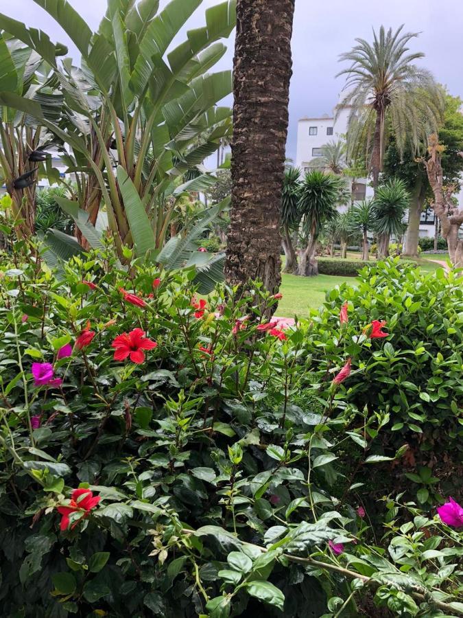 Jardines Del Puerto En Pleno Centro De Puerto Banus Apartment